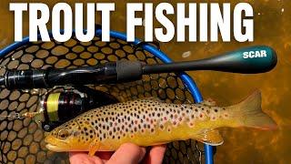Catching 45 Wild Trout with a $12 TEMU Rod! | Spinner Fishing Ireland River Challenge