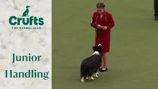 You have to see these dogs!  International Junior Handling Final Judging | Crufts 2024