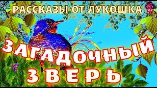 ЗАГАДОЧНЫЙ ЗВЕРЬ — Рассказ | Николай Сладков | Аудио рассказ | Рассказ для детей | Рассказы Сладкова