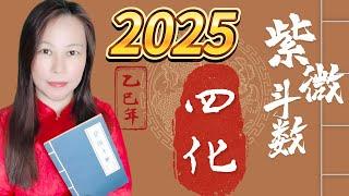 靈機靈姬學院-紫微斗數-2025年 乙巳年 紫微斗数 天干四化 Zi Wei Dou Shu is a branch of Chinese Astrology.