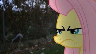 Fluttershy (MLP in real life)