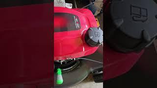Honda GCV 170 self-propelled mower! First time mowing with it! How did it do? 