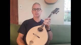 Nyberg Celtic Mandolin Demo, Rosewood & Sitka