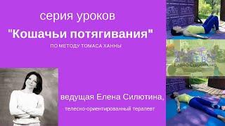 УРОК №1. "Кошачьи потягивания". КОМПЛЕКС СОМАТИЧЕСКИХ УПРАЖНЕНИЙ  по методу Томаса Ханны