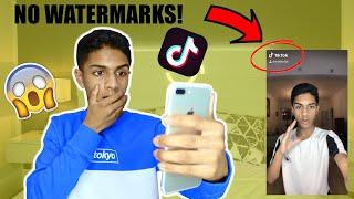 HOW TO SAVE TIK TOK VIDEOS WITHOUT THE WATERMARK!