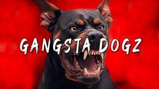 Aggressive Gangsta Freestyle Rap Beat Instrumental ''GANGSTA DOGZ'' Hard Angry 50 Cent DISS Type