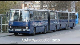 Ikarus 280típusú autóbuszok a H9 vonalán