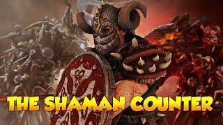 Valkyrie Might Be The Shaman Counter | For Honor