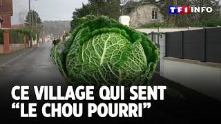 Ce village qui sent “le chou pourri” ｜TF1 INFO