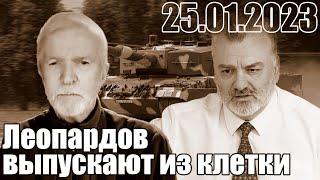 Леопарды выпускают из клетки