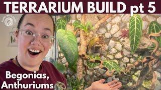 Dead Plants and New Begonias, Terrarium Build pt 5 | Plant with Roos