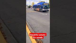 Bis telolet  | ets | yeg | EDMONTON PUBLIC TRANSPORTATION | blue bus | tiktok | short