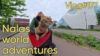 Vlog#177 from Breda to Eindhoven ️