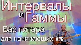 Бас гитара для начинающих #3 // Интервалы и гаммы // bass lessons