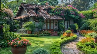 Beautiful Small Garden Design  Chill Music Without Lyrics Helps Relax