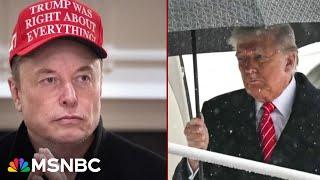 Nicolle Wallace: Elon Musk and Donald Trump public feud is 'two tarantulas in a bowl'