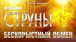 Практика Струны. Бескорыстный Обмен #онлайнпрактика #струны #бескорыстныйОбмен #Весталия