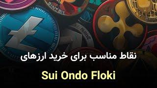 نقاط ورود به ارزهای sui ondo floki