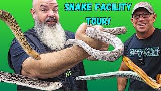 Awesome Snake Facility Tour!