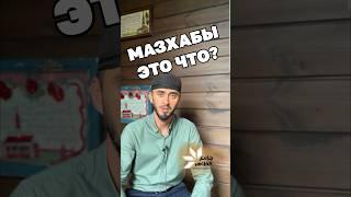 Мазхабы это мнения сахабов #shots