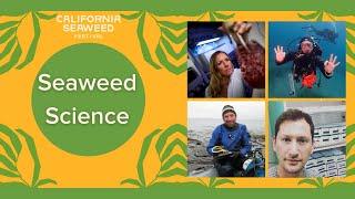 Seaweed Science Discussion: What's next in Seaweed Science | 2020 California Seaweed Festival