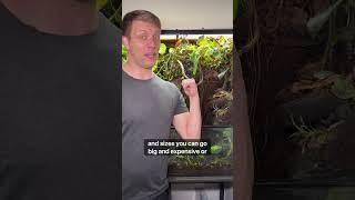 Feelings Got Hurt… #fyp #youtubeshort #vivarium