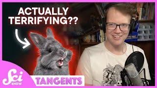 Predators with Jaida Elcock | SciShow Tangents Podcast