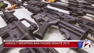 Assault weapons ban passes Senate 25-11