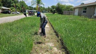 Neighbors NEEDED My Help With This OVERGROWN EYESORE!  Overgrown Lawn Transformation
