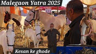 Malegaon yatra me aaye kesan ke ghode | malegaon jatra horse market 2025 2nd update video