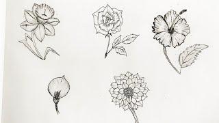 Easy Flower  Drawing by Kajal Art and Craft is live!
