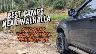 Free Camping in the Thomson State Forest - Walhalla