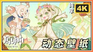 【原神】5.1纳西妲花神诞祭《彩糖与蔷薇的幻色颂》无UI纯享4K动态壁纸60FPS