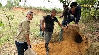 Brave Pitbull Dog And Hunter Catch 20 King Cobras