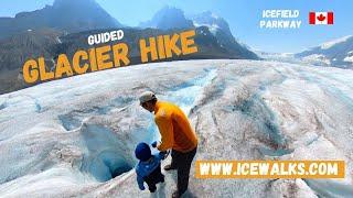 Guided Glacier Hike in Jasper National Park | Best Experience on the Icefield Parkway