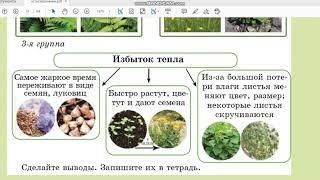 Урок 6. Как растения приспособлены к условиям жизни. Естествознание. 3 класс