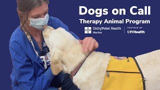 Dogs On Call Therapy Animals at UnityPoint Health - Meriter