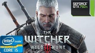 The Witcher 3: Wild Hunt - i5 4460 - 8GB RAM - GTX 750 Ti