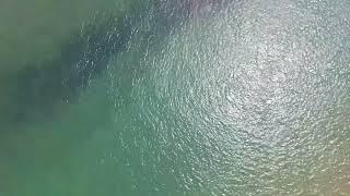 Digital Silent Unique Sea Sightseeing #youtube #love #digitalmarketing #shorts #short #shortvideo