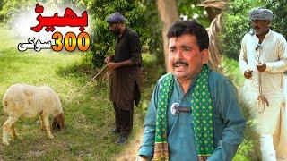 Bakra 300 Ki || Bakra Eid || Helmet || Rocket New Top Funny || Chal TV