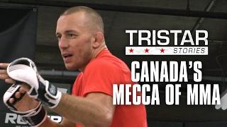 Tristar Gym: Canada's Mecca of MMA | Tristar Stories in 4K