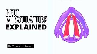 Belt Musculature Explained | Robert Lunte | The Vocalist Studio | Vocal Exercises