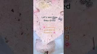 So crispy #asmr #satisfying #flowers #driedflowers #art #craft  #oddlysatisfying #satisfyingasmr