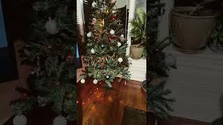 #christmas #christmasdecor #christmasdecoratewithme #christmastree #christmasmusic #christmassongs