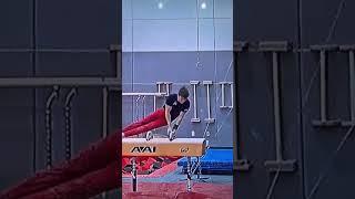 Who invented this #gymnastics #gymnast #gym #fail #fails #olympics #calisthenics #slip #cartoon