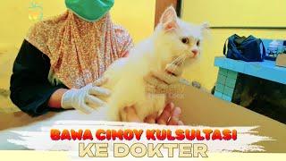 CiMOY Manja BGT Dibawa ke Dokter️