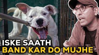 Pitbull mix aggressive to nahi lag raha mujhe