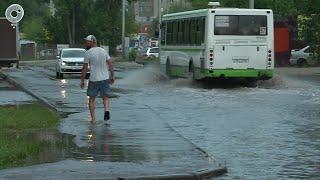 Пасмурная и прохладная погода продержится в Новосибирской области до начала следующей недели