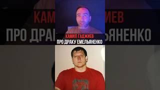 Камил Гаджиев про драку Емельяненко | #камилгаджиев #емельяненко #мма