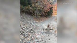 Viral video shows cougar stalking Utah hiker in terrifying 6-minute encounter - FULL VIDEO | ABC7